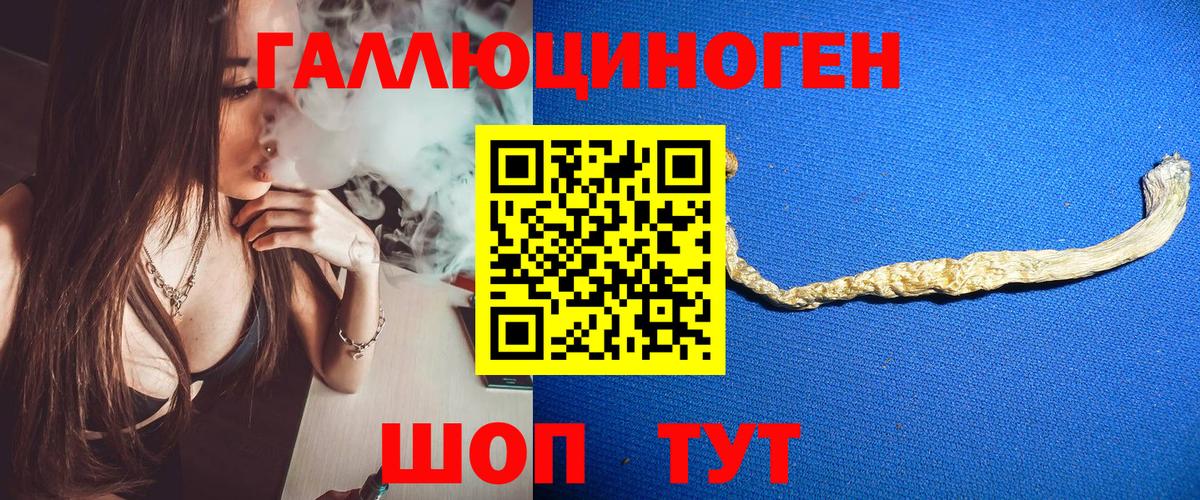 Псилоцибиновые грибы прущие грибы Улан-Удэ