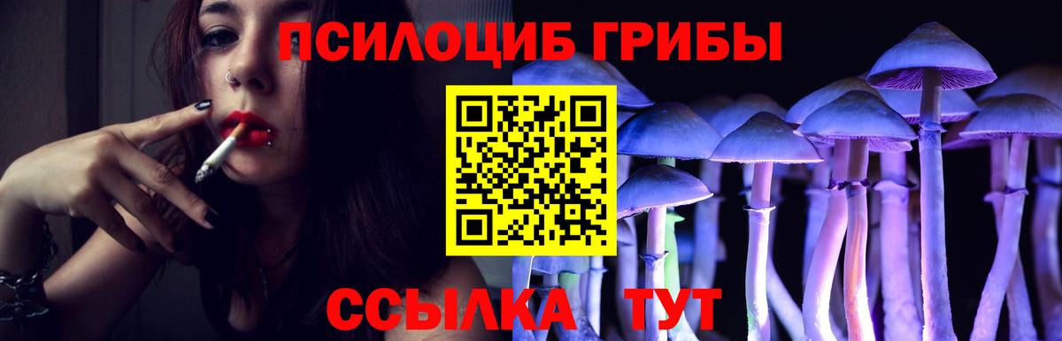 Улан-Удэ  Галлюциногенные грибы Psilocybine cubensis  Вход с VPN 